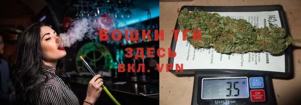 сатива Богданович
