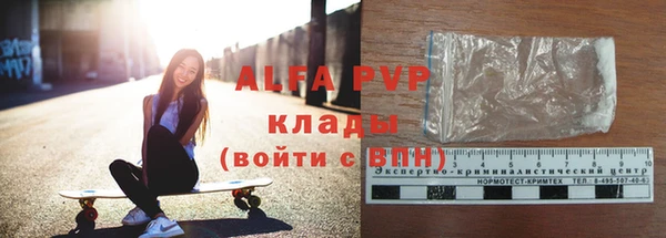сатива Богданович