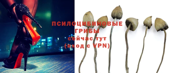 сатива Богданович