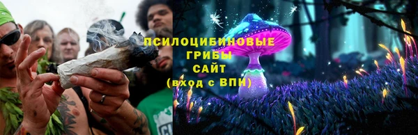 сатива Богданович